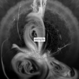 【JPEG原画ファイル】白龍