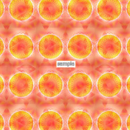 【JPEG原画ファイル】親愛